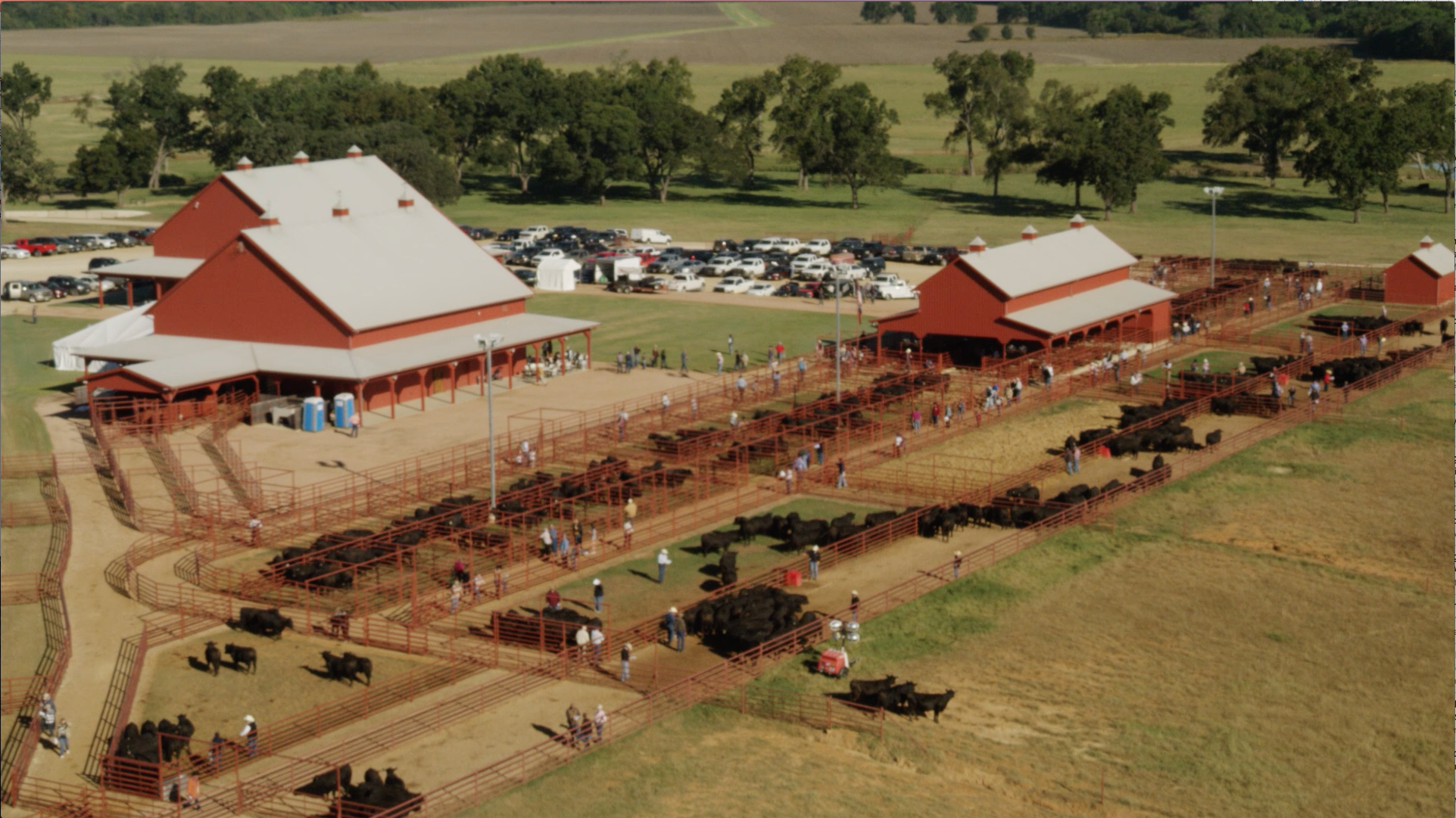 2016 Fall Sale Recap