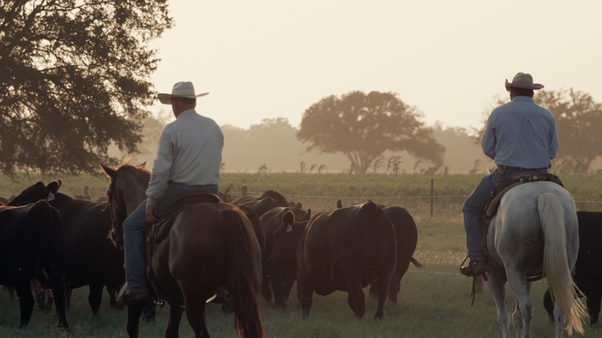 The Fall Sale - Promo Video