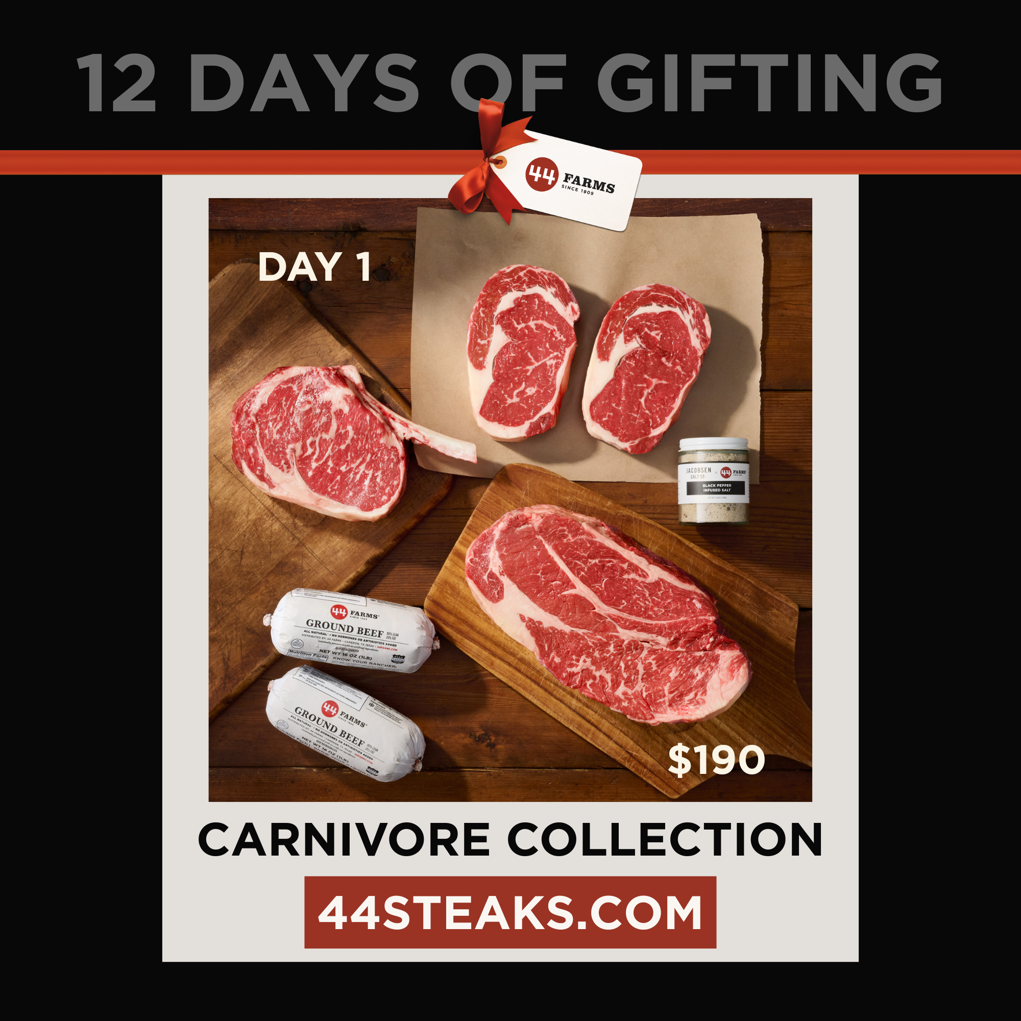 The Carnivore Collection