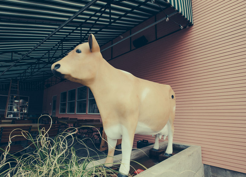 Mudhen, The Farmers Market’s Flagship Restaurant, Strikes A Balance Between Health And Gluttony