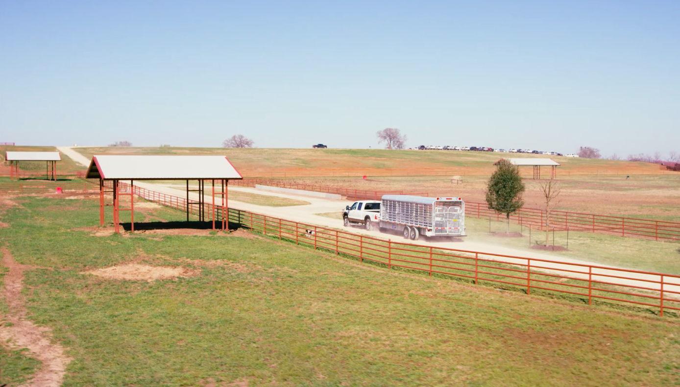 44 Farms Spring 2016 Bull Sale